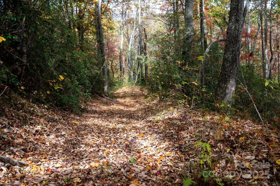 4B Lower Flat Creek Road, Black Mountain, NC 28711 - Image #3