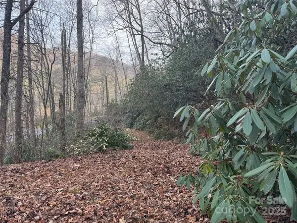 2664 Nc Hwy 9 Highway, Black Mountain, NC 28711