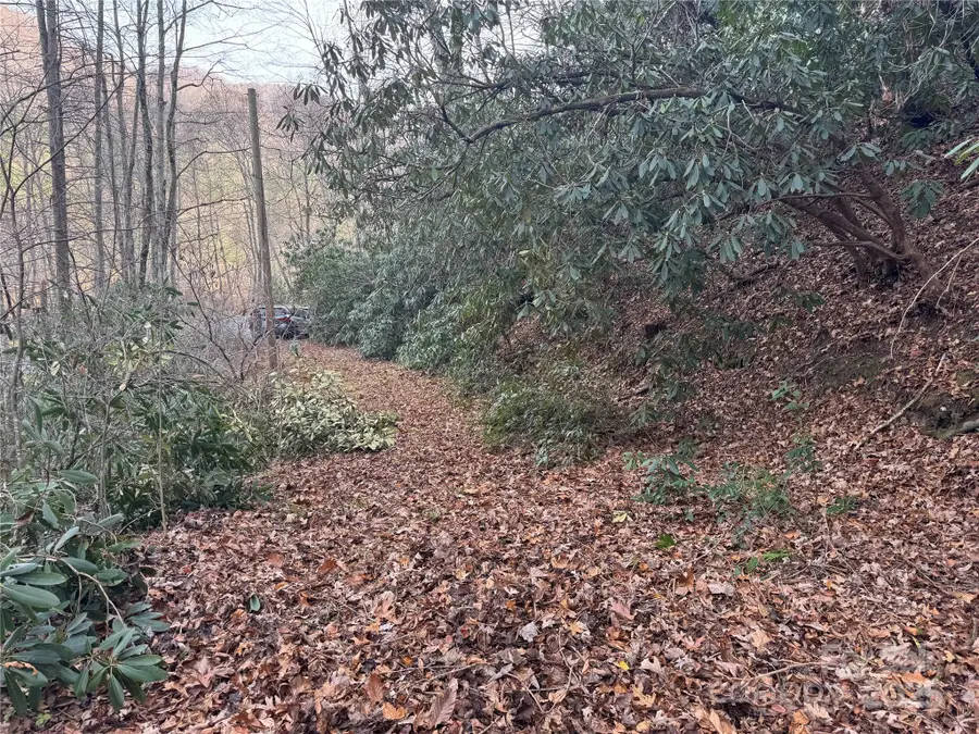 2664 Nc Hwy 9 Highway, Black Mountain, NC 28711 - Image #2