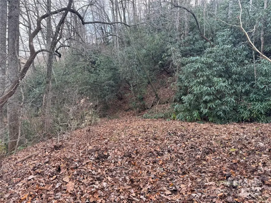 2664 Nc Hwy 9 Highway, Black Mountain, NC 28711 - Image #3