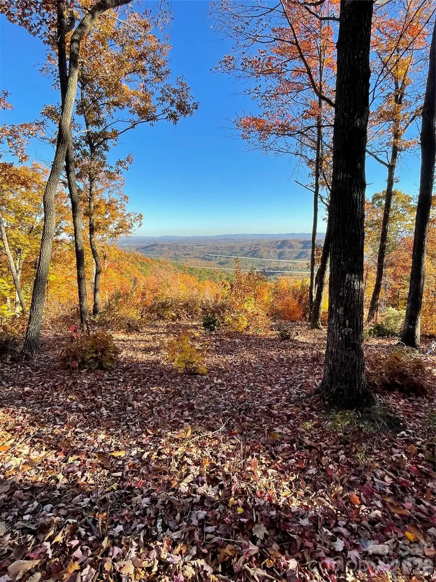 TBD N Blackberry Ridge Drive, Walnut Grove, NC 28659 - #2