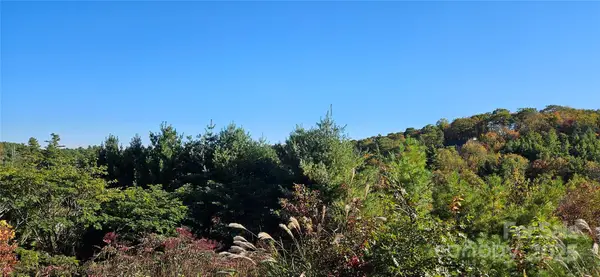 0 Clarktown Road, Newland, NC 28657