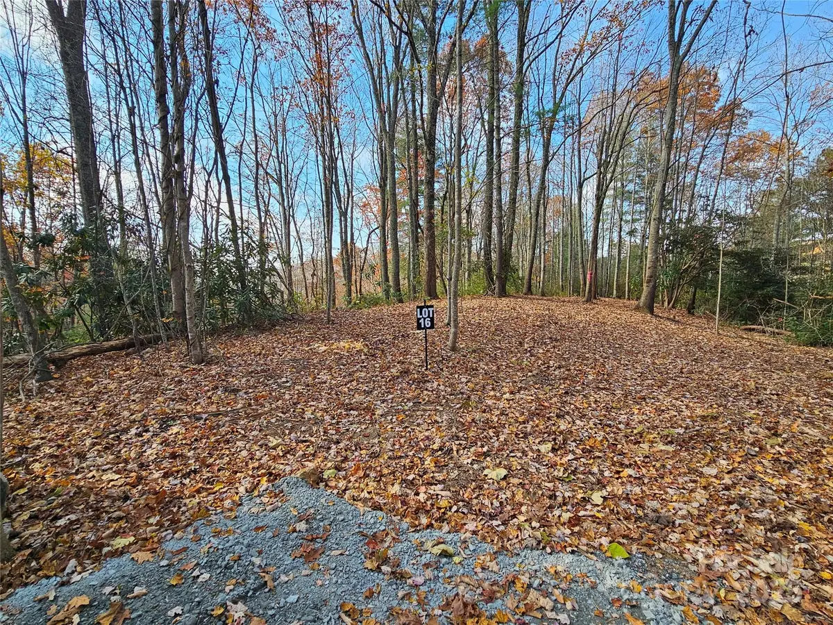 9999-16 Bob Barnwell Road, Asheville, NC 28803 - Image #1