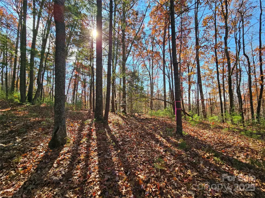 9999-17 Bob Barnwell Road, Asheville, NC 28803 - Image #2