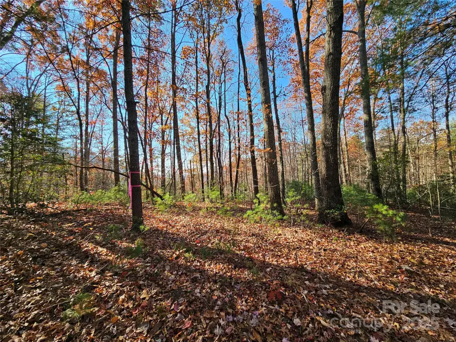 9999-17 Bob Barnwell Road, Asheville, NC 28803 - Image #3