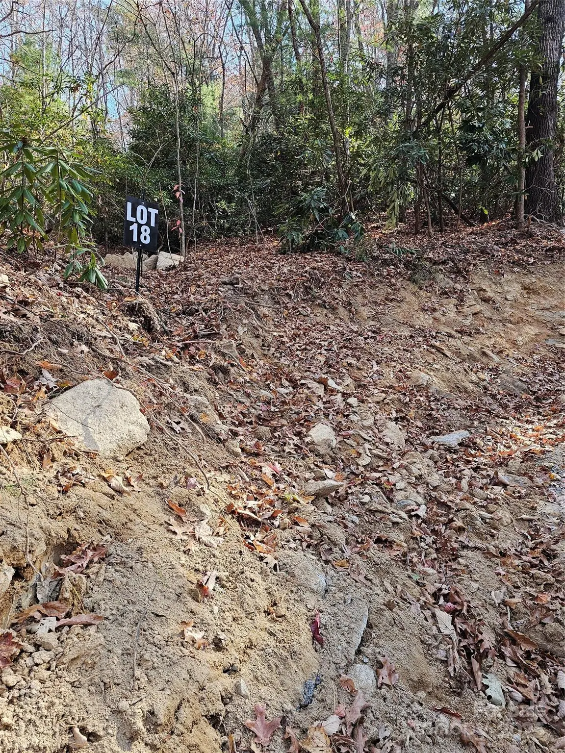 9999-18 Bob Barnwell Road, Asheville, NC 28803 - Image #1