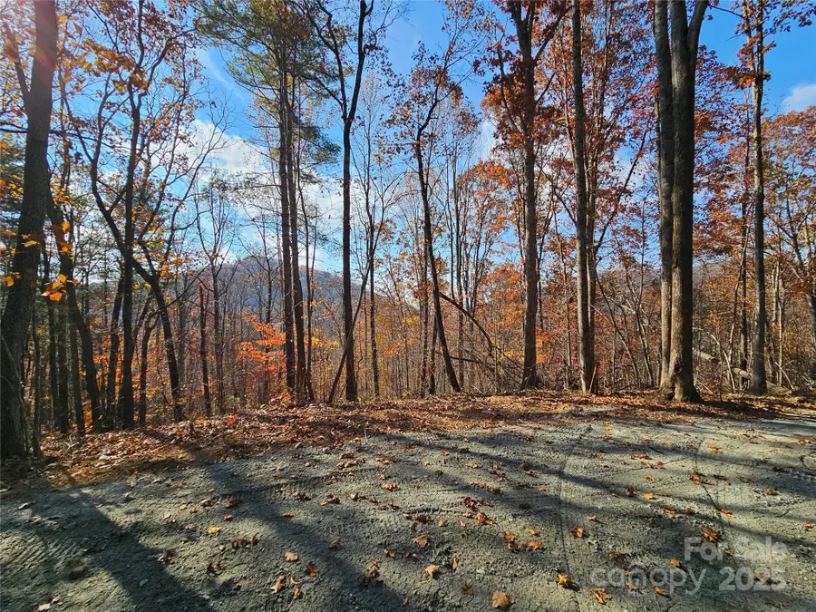 9999-18 Bob Barnwell Road, Asheville, NC 28803 - Image #2
