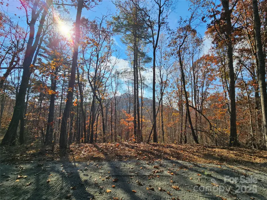 9999-18 Bob Barnwell Road, Asheville, NC 28803 - Image #3