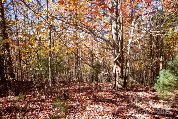 Lot# 4 Peregrine Terrace #4, Lenoir, NC 28645