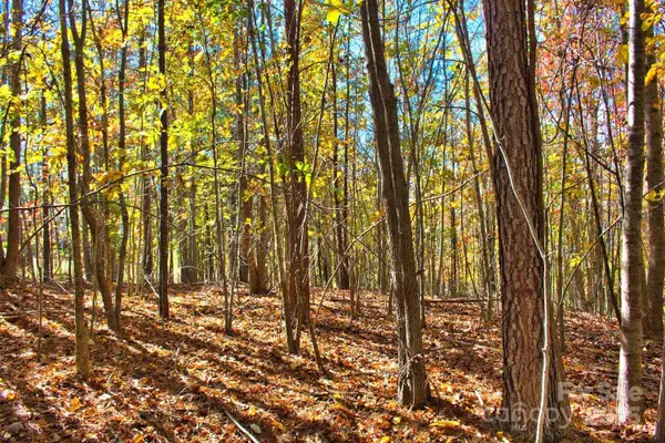 0 Creekside Circle #113, Rutherfordton, NC 28139