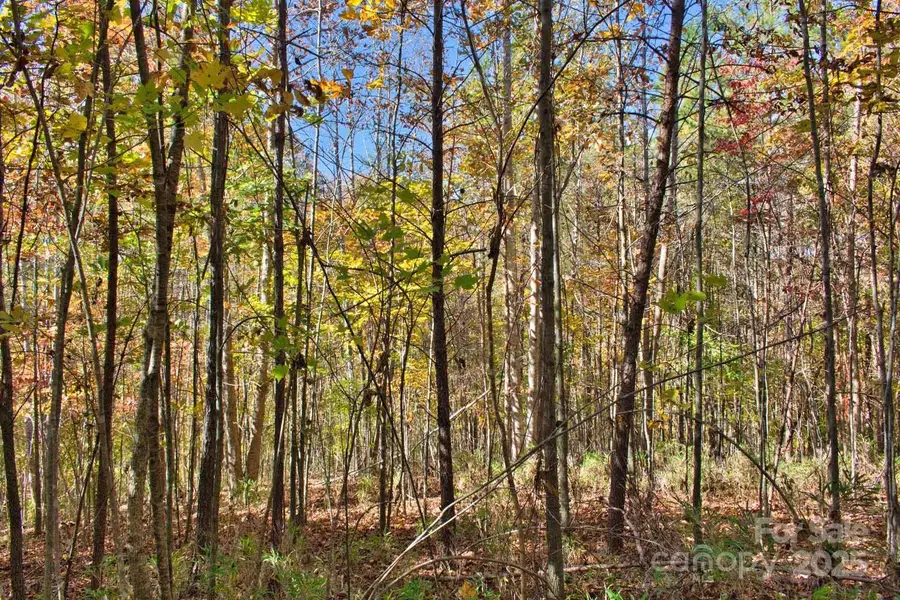 0 Creekside Circle #113, Rutherfordton, NC 28139 - Image #3
