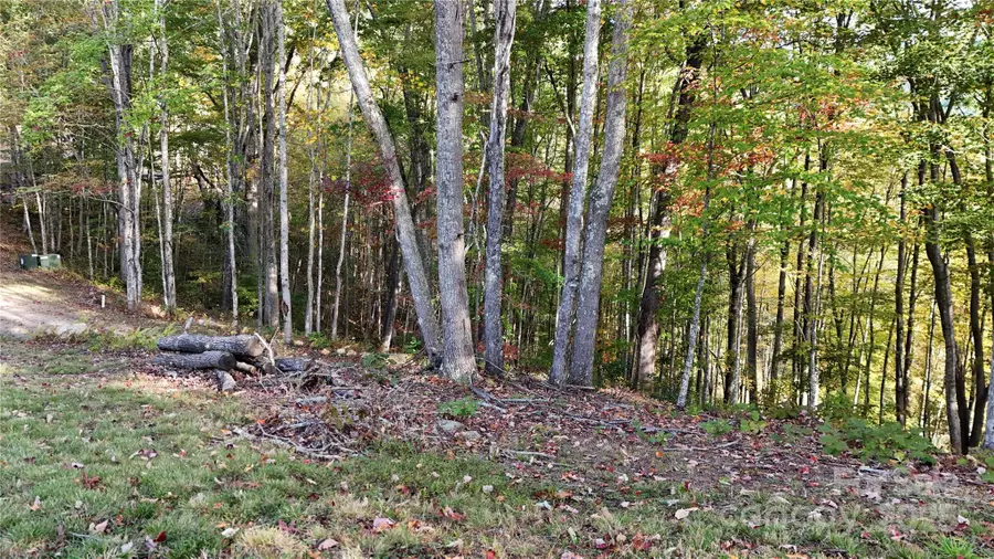 2 Roberts Mountain Road #2, Clyde, NC 28721 - Image #3