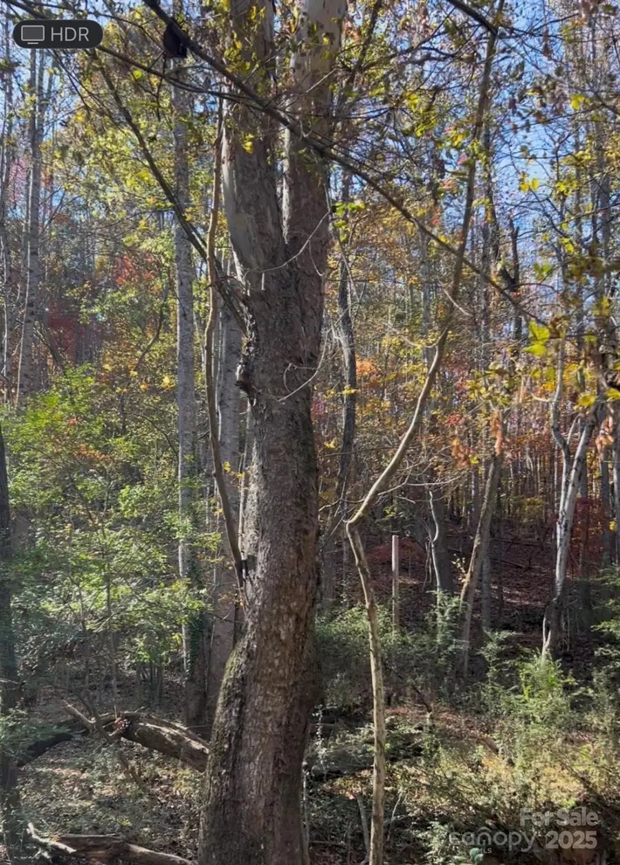 0 Snuggs Park Road, Albemarle, NC 28001 - Image #2