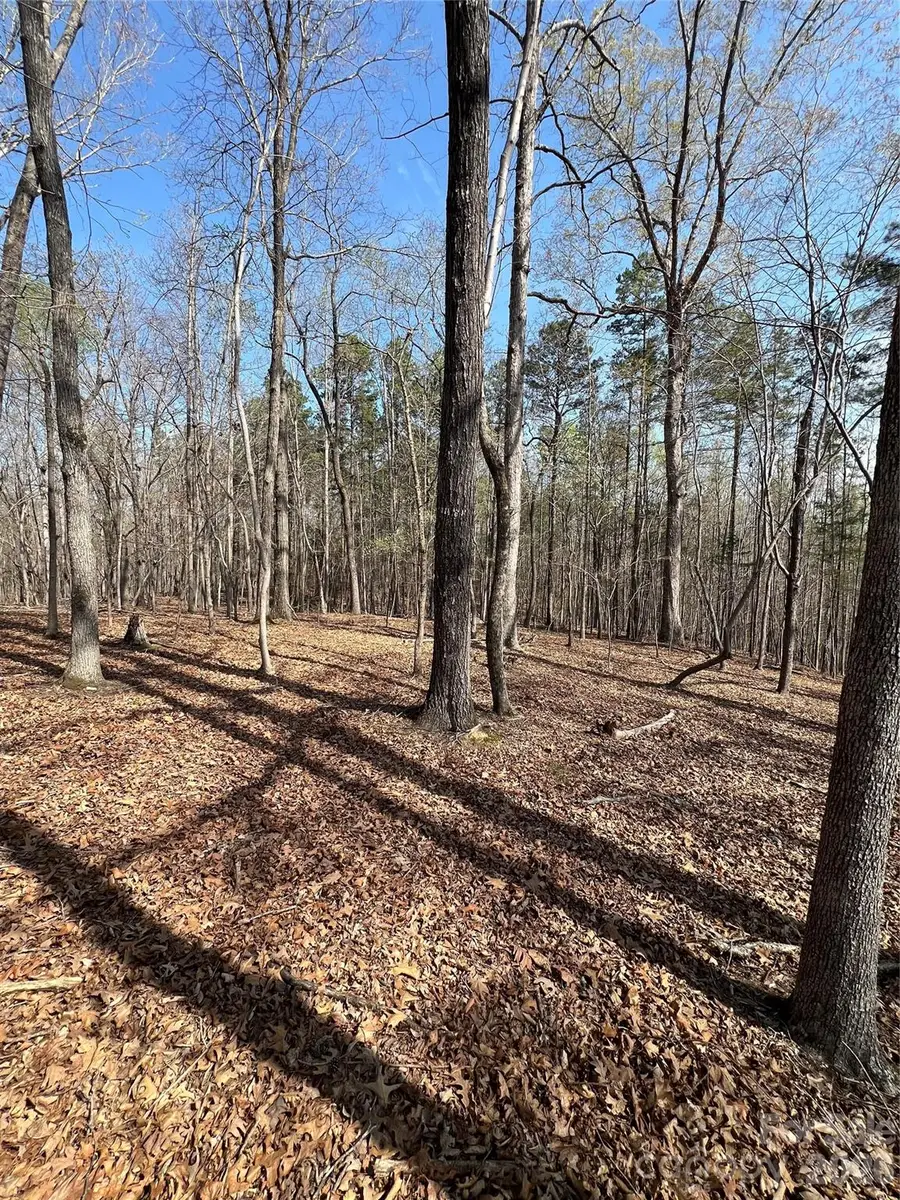 0 Snuggs Park Road, Albemarle, NC 28001 - #3