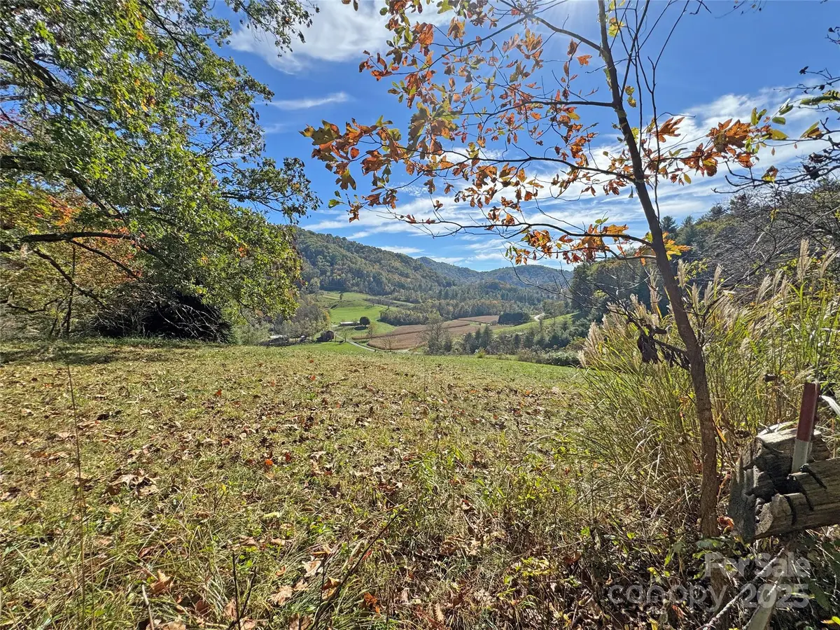 TBD Paint Fork Road, Mars Hill, NC 28754 - Image #1