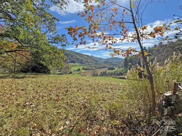 TBD Paint Fork Road, Mars Hill, NC 28754