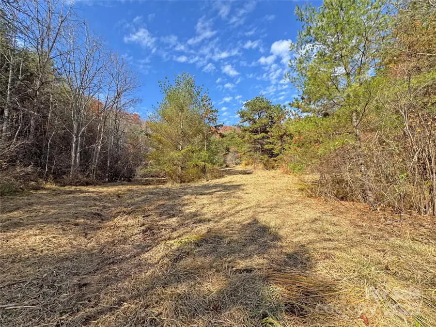 TBD Paint Fork Road, Mars Hill, NC 28754 - Image #3