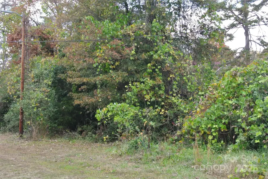 0 New Hope Road, Rutherfordton, NC 28139 - Image #2