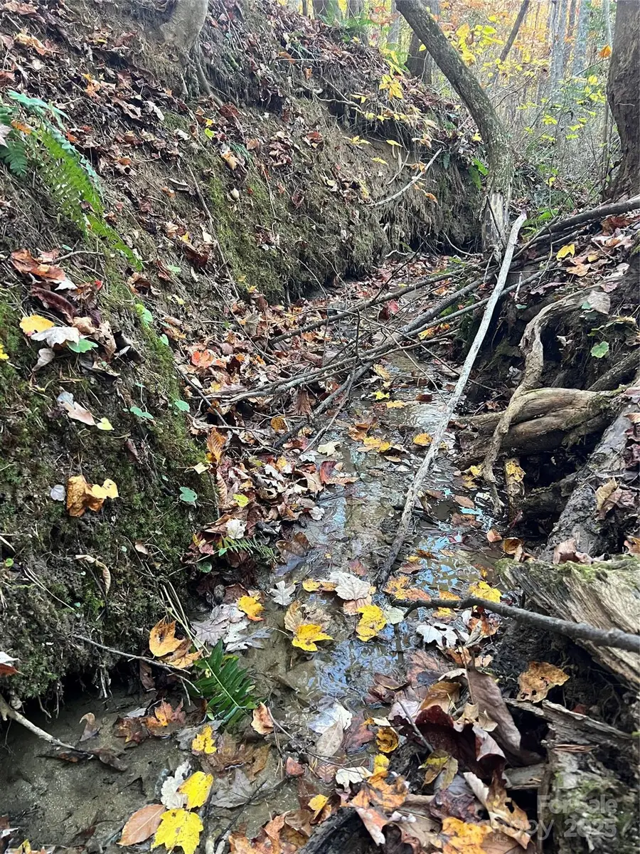 00 Black Oak Ridge Road, Taylorsville, NC 28681 - Image #3