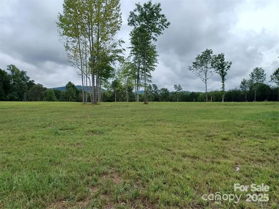 000 Jackson Hollow Lane, Columbus, NC 28722 - Image #2