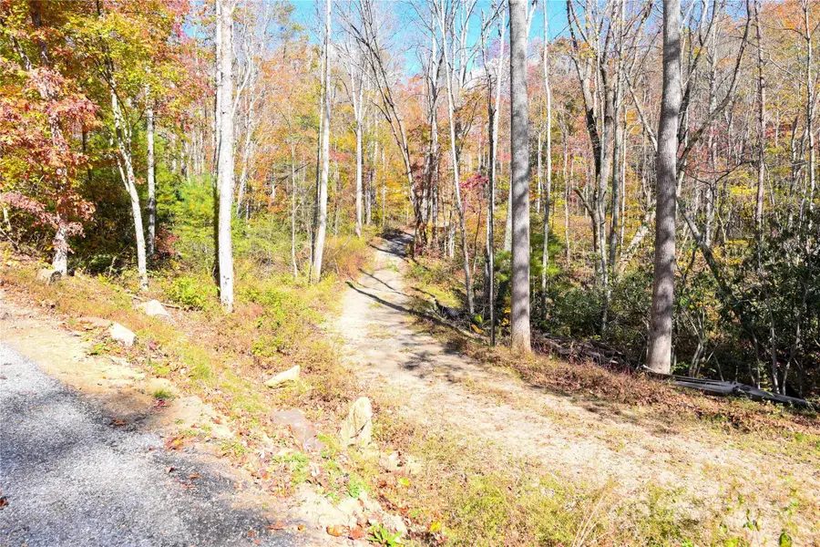 99999 Long Branch Road, Swannanoa, NC 28778 - Image #2