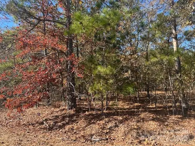 1060 Neds Creek Road, Kershaw, SC 29009 - Image #1