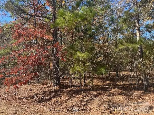 1060 Neds Creek Road, Kershaw, SC 29009