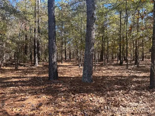 1060 Neds Creek Road, Kershaw, SC 29009 - Image #2