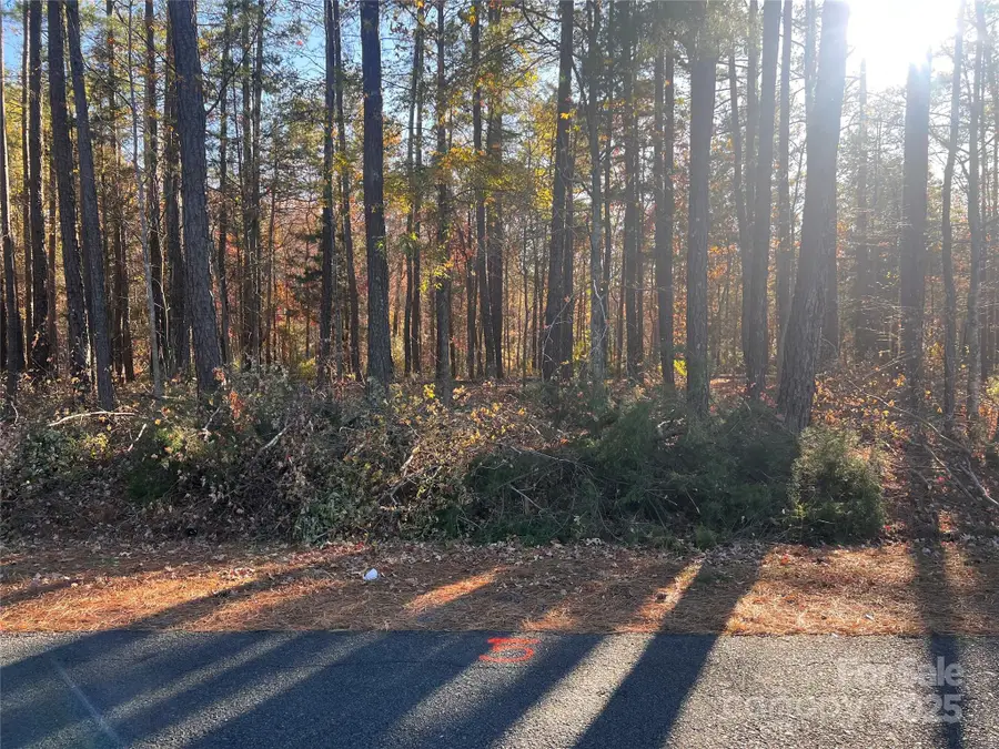 TBD Steele Road #5, Waxhaw, NC 28173 - Image #2