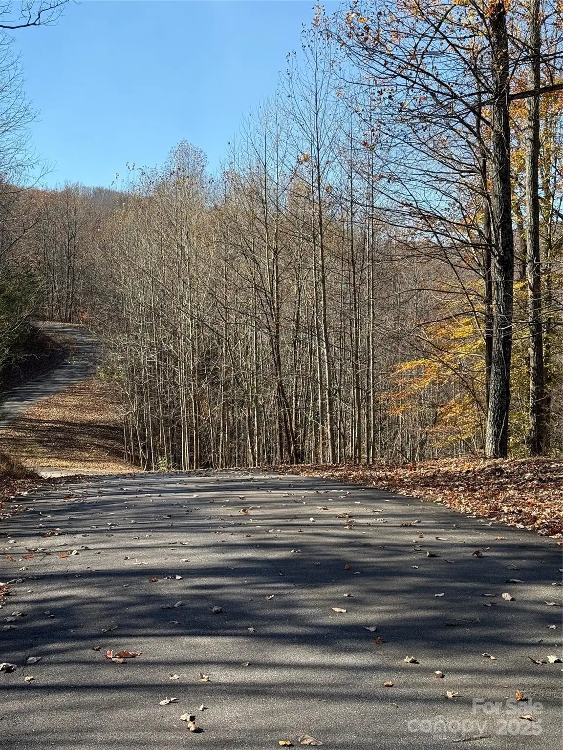 V/L Lot 72 & 170 Black Lark Drive, Marion, NC 28752 - Image #1