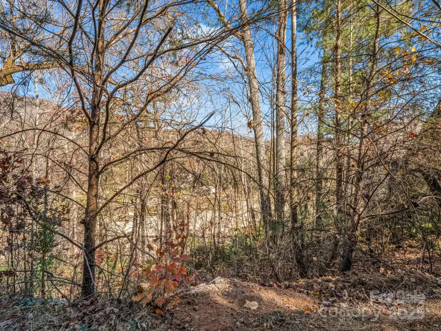 167 Firefly Point, Lake Lure, NC 28746 - Image #2