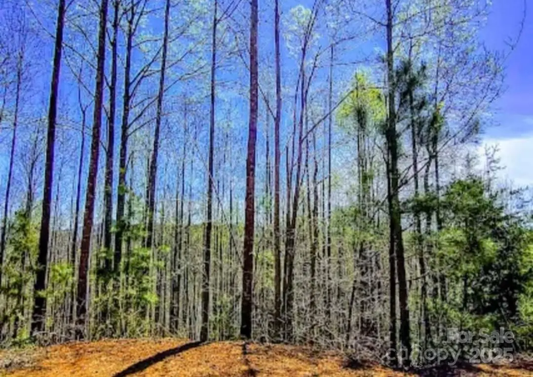 153 Westridge Drive, Bostic, NC 28018 - Image #1