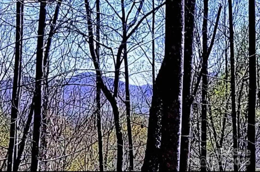 153 Westridge Drive, Bostic, NC 28018 - Image #2