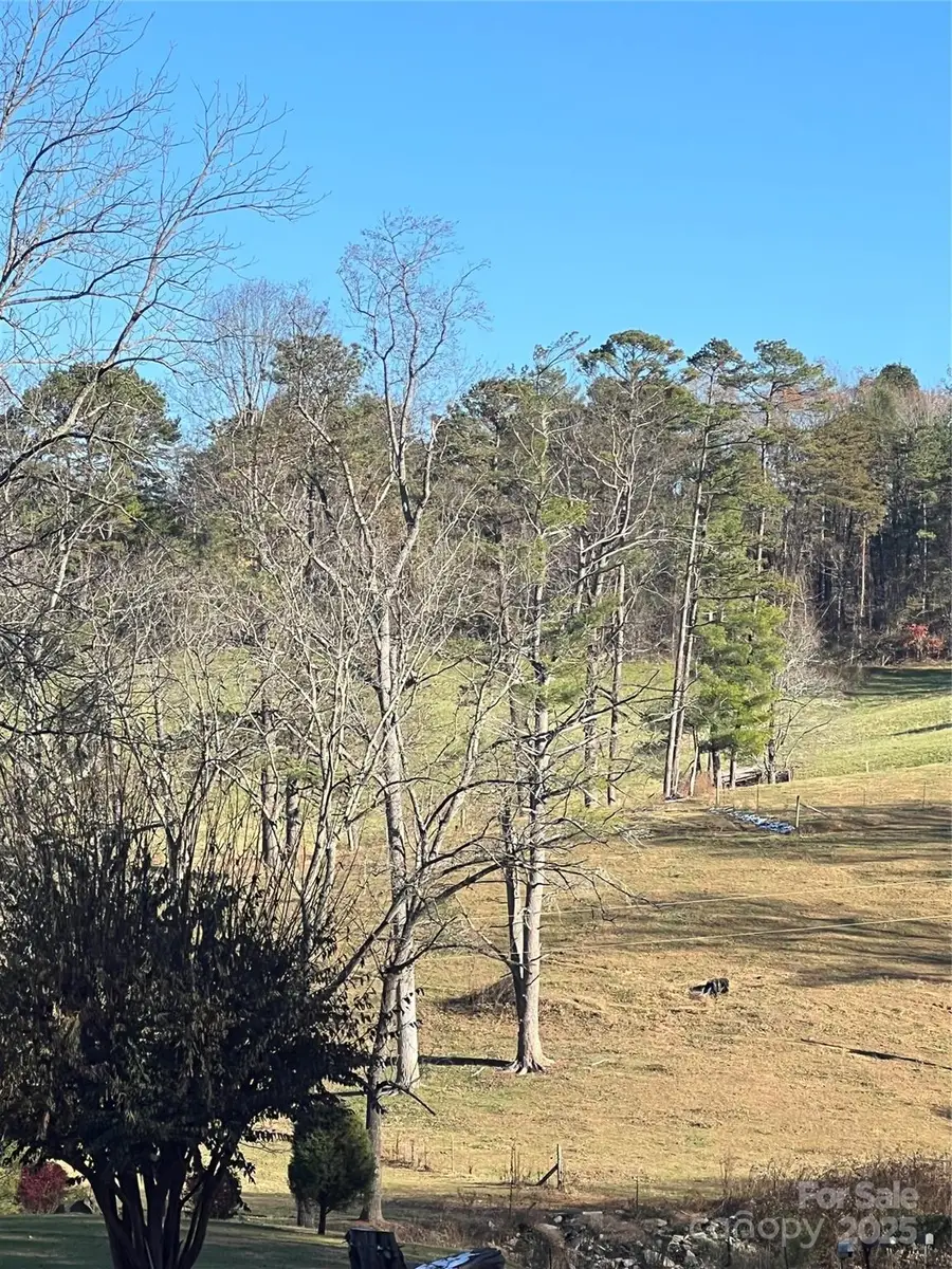 11 Beech Crest Rise None, Leicester, NC 28748 - Image #2