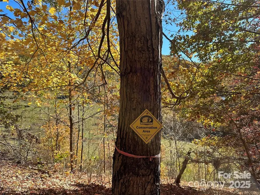 5 Hidden Valley Road, Clyde, NC 28721 - Image #3