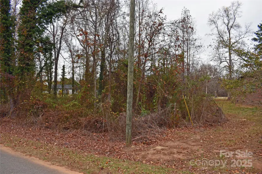 00 Horseshoe Lake Road, Lincolnton, NC 28092 - Image #2