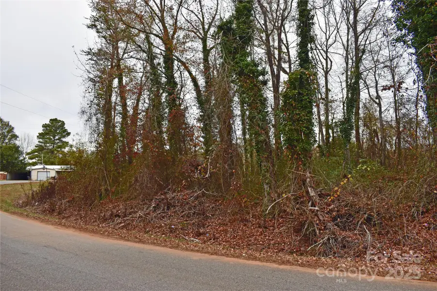 00 Horseshoe Lake Road, Lincolnton, NC 28092 - Image #3