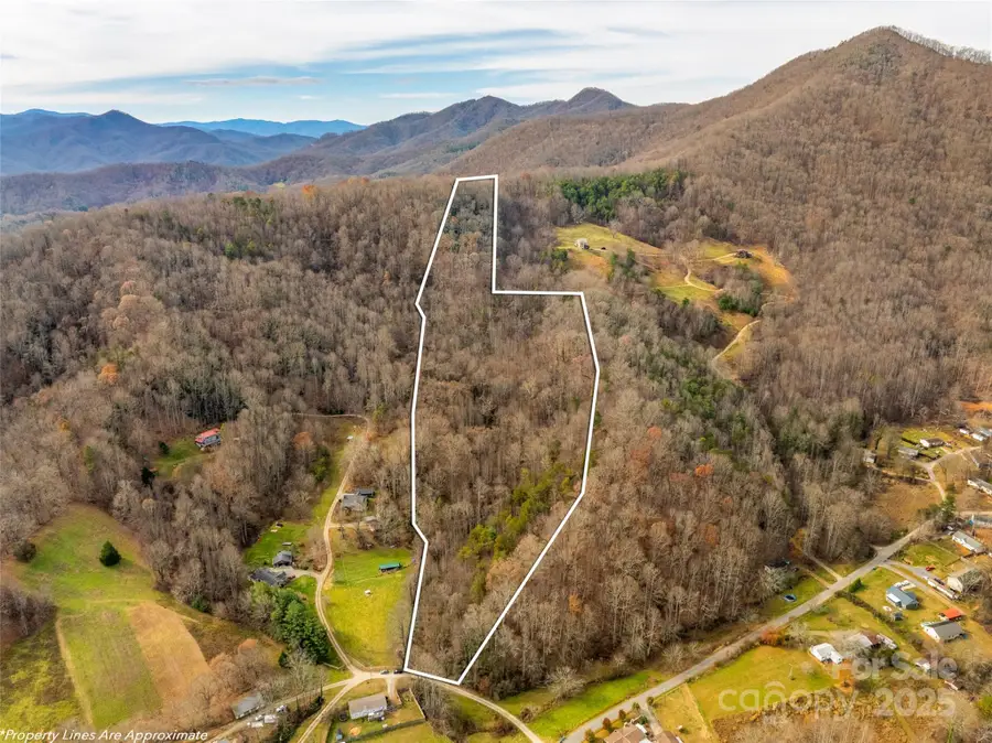 99999 Bay Horse Trail, Candler, NC 28715 - Image #2