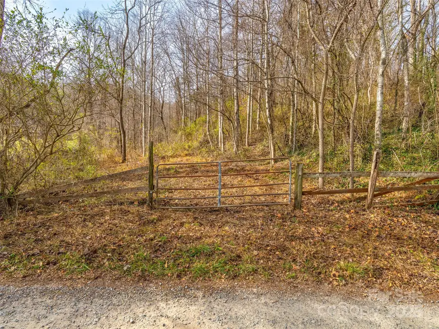 99999 Bay Horse Trail, Candler, NC 28715 - Image #3