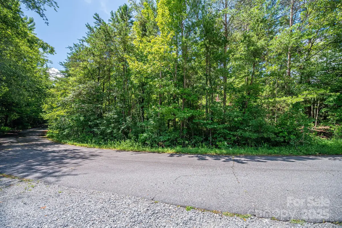 Lot 40 Line Drive, Forest City, NC 28043 - Image #1