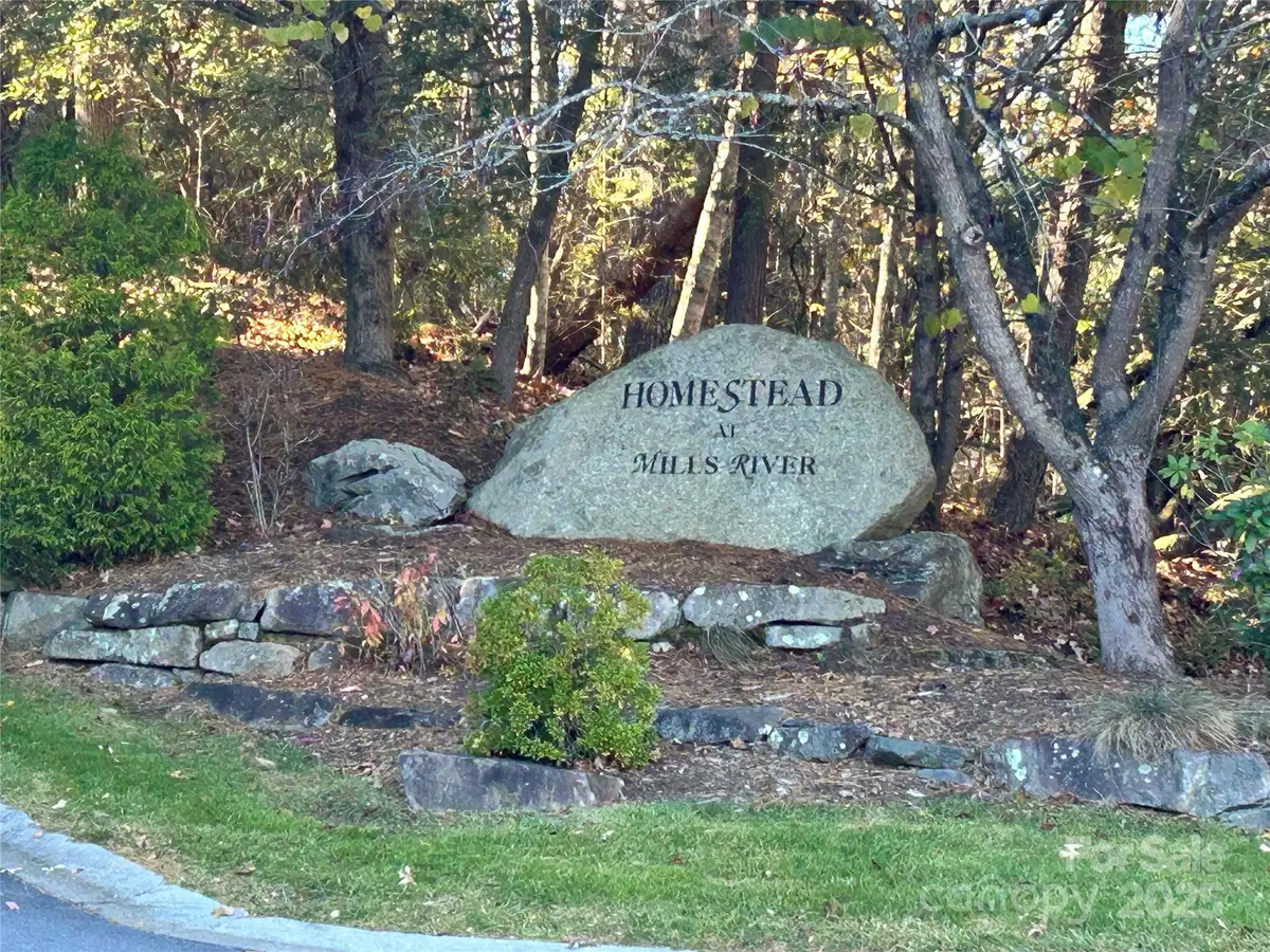 1114 Mills River Way, Horse Shoe, NC 28742 - Image #1