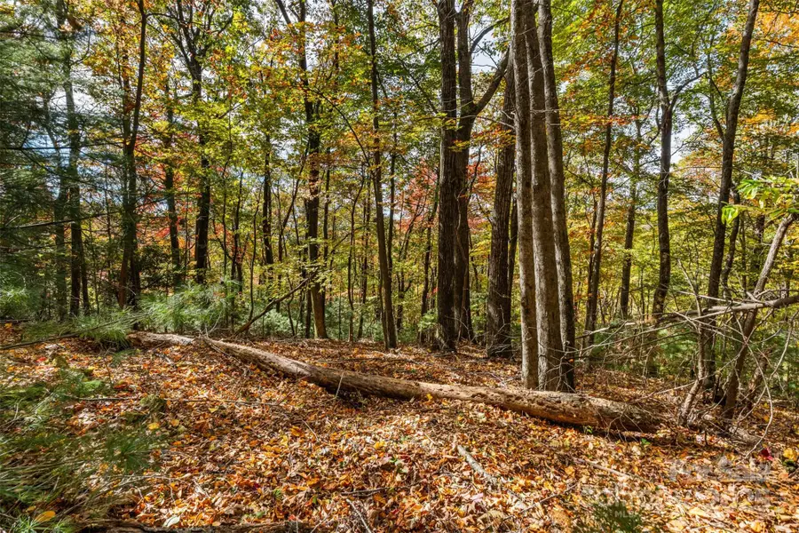 Lot 24 Ben Miller Road #24, Deep Gap, NC 28618 - Image #2