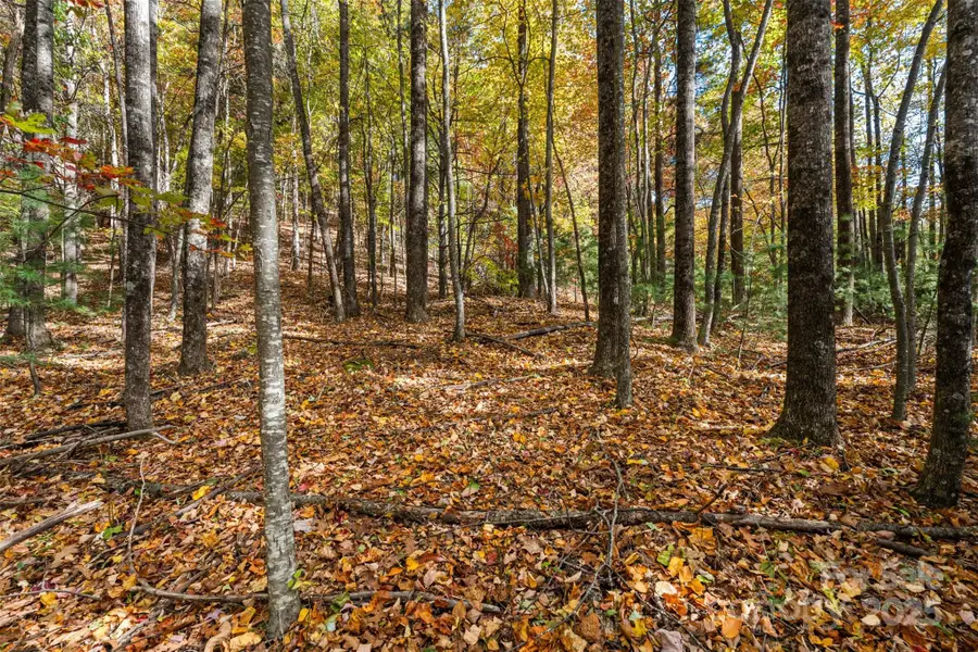 Lot 24 Ben Miller Road #24, Deep Gap, NC 28618 - Image #3