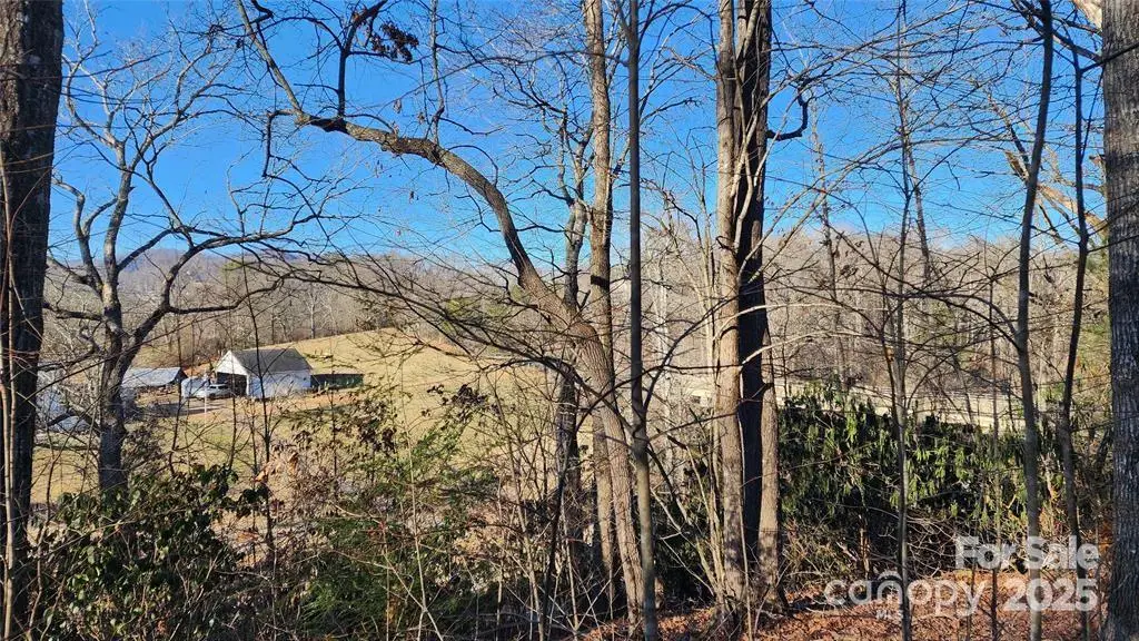 4 Coke Candler Lane, Candler, NC 28715 - Image #1