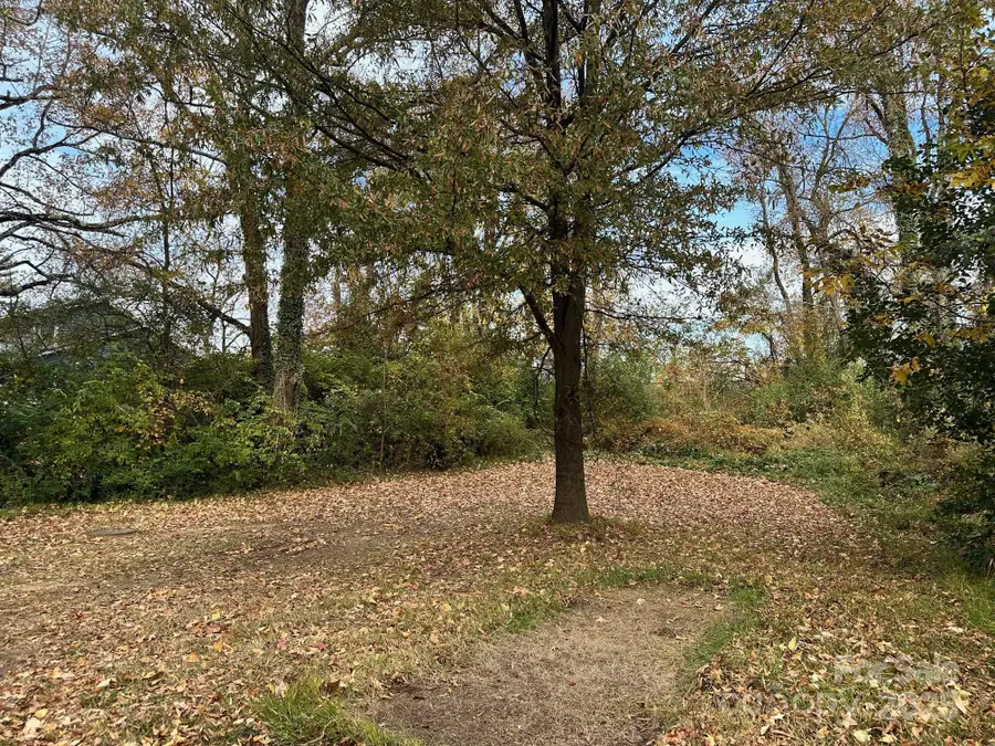 4033 Bearwood Avenue, Charlotte, NC 28205 - Image #2