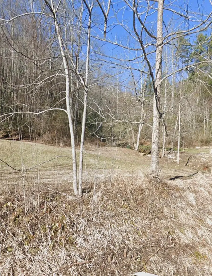 494 Shepherd Creek, Franklin, NC 28734 - Image #2