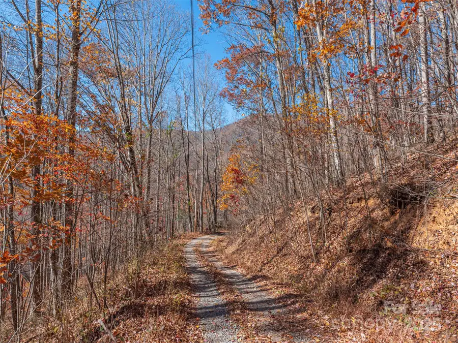 112 & 113 Grouse Road, Clyde, NC 28721 - Image #3