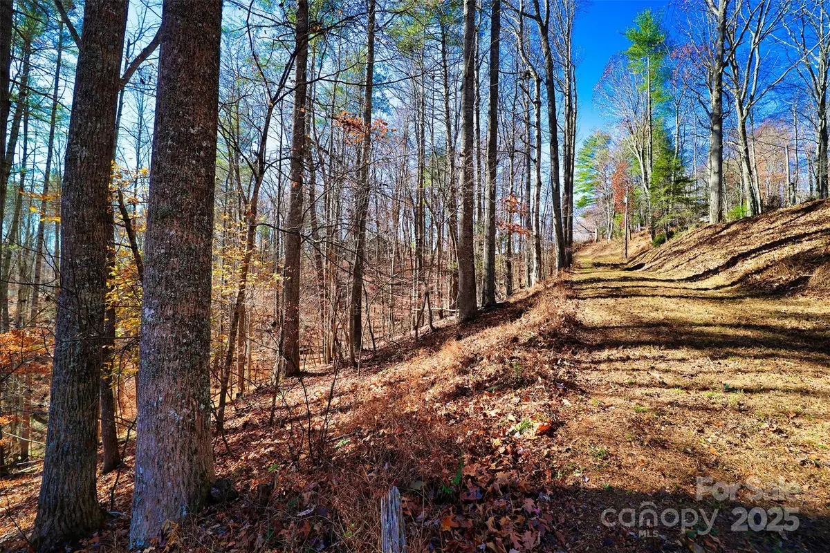 TBD Rockinghorse Trail #Tract 1, Burnsville, NC 28714 - Image #1