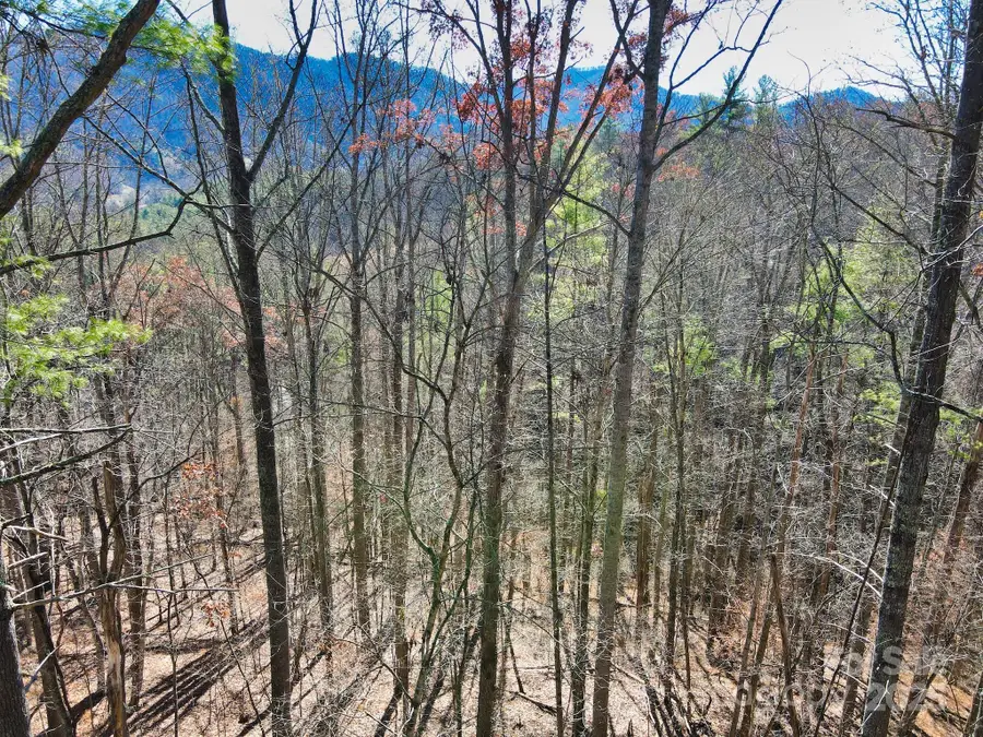 TBD Rockinghorse Trail #Tract 2, Burnsville, NC 28714 - Image #2
