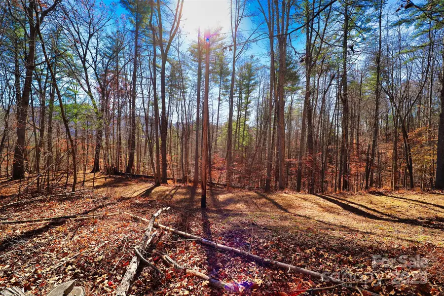 TBD Rockinghorse Trail #Tract 2, Burnsville, NC 28714 - Image #3